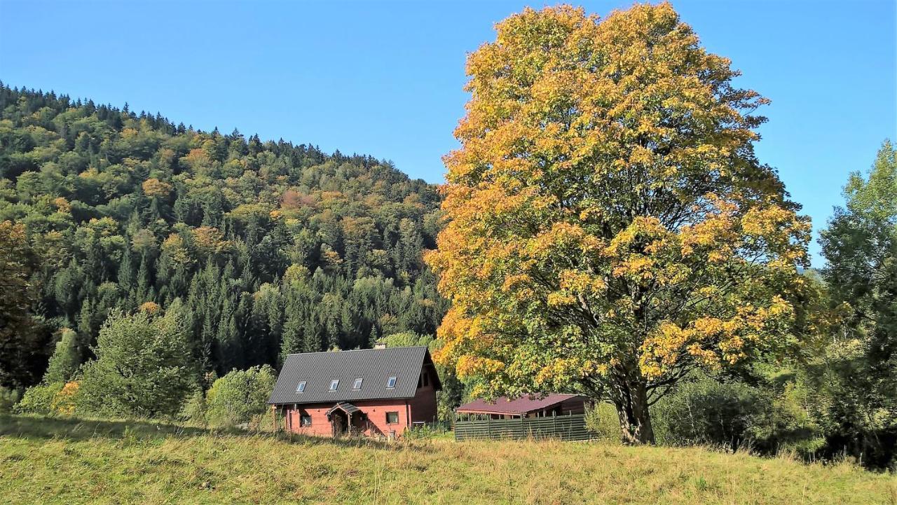 Krolikowka Stronie Slaskie Bagian luar foto
