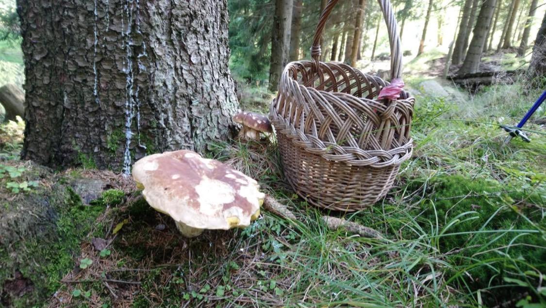 Krolikowka Stronie Slaskie Bagian luar foto