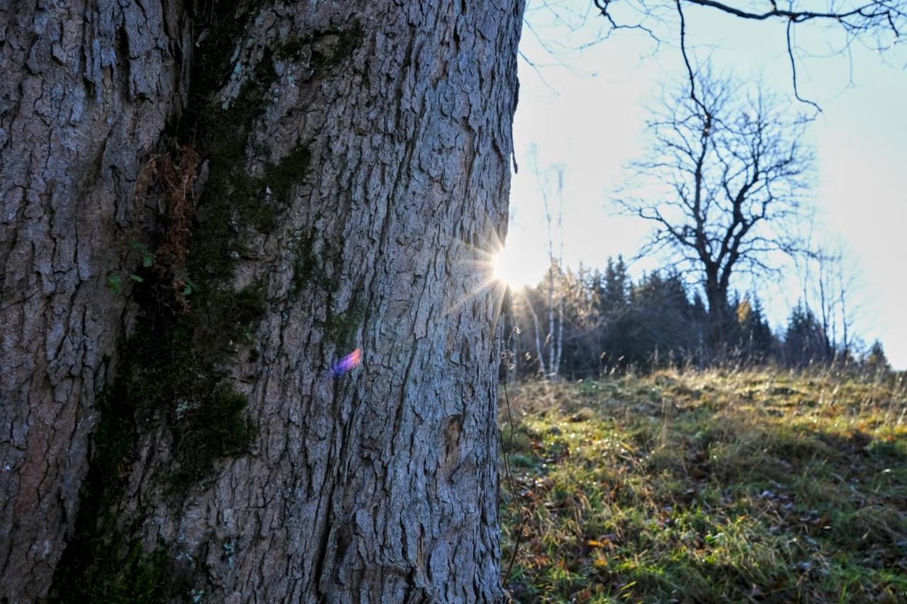 Krolikowka Stronie Slaskie Bagian luar foto
