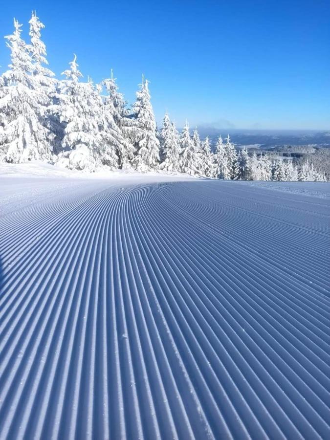 Krolikowka Stronie Slaskie Bagian luar foto