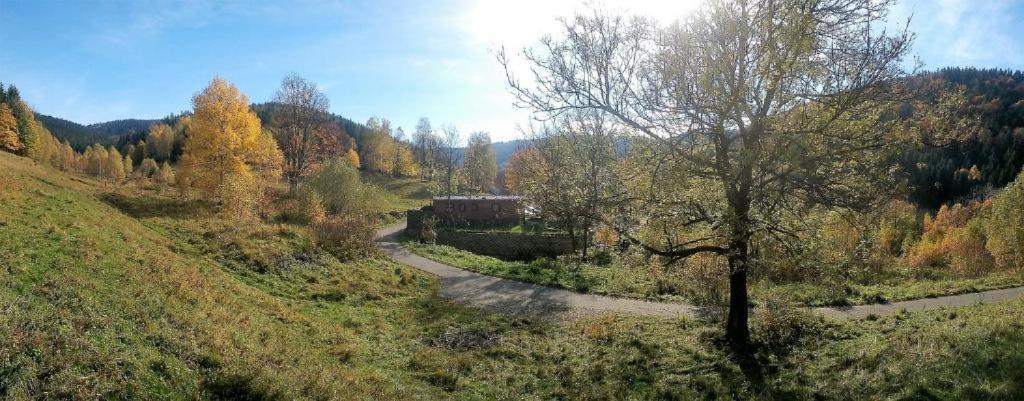 Krolikowka Stronie Slaskie Ruang foto